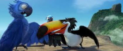 images (41) - filmul de animatie Rio