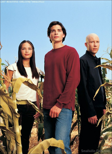 Smallville (5) - x Season 1 x