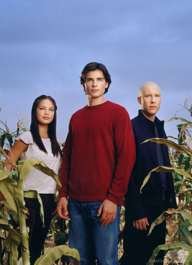 Smallville (7) - x Season 1 x