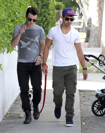 Joe+Jonas+Joe+Kevin+Jonas+Walking+Joe+Dog+aQMNCzn5STnl