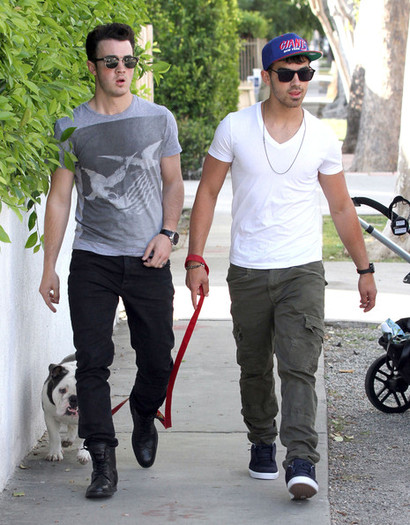 Joe+Jonas+Joe+Kevin+Jonas+Walking+Joe+Dog+b3iO6OR0m8Nl