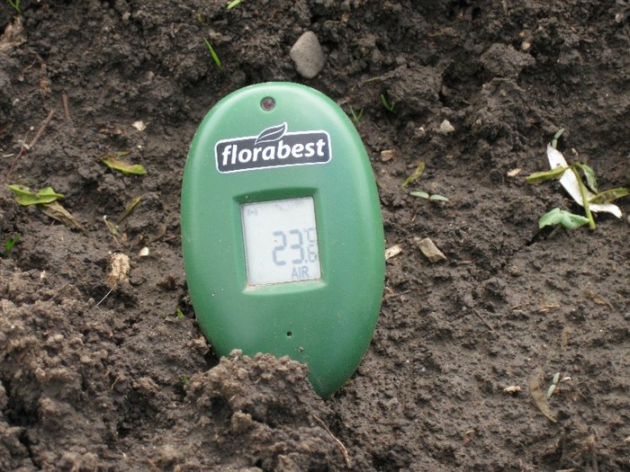 Senzor pentru graina-umiditate.temp.sol,temp.aer - Gradina de legume 2011