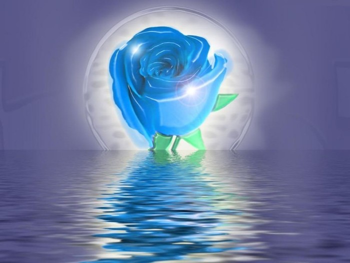 3D_Love_Rose_19