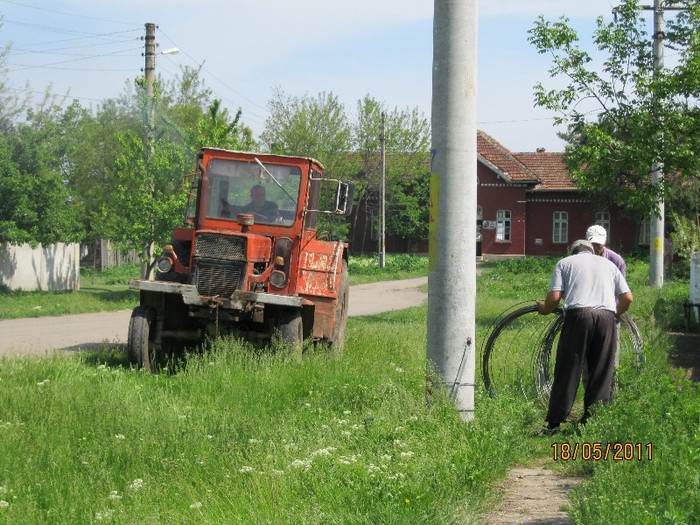 IMG_0316 - Copie - Curtea si gradina in constructie