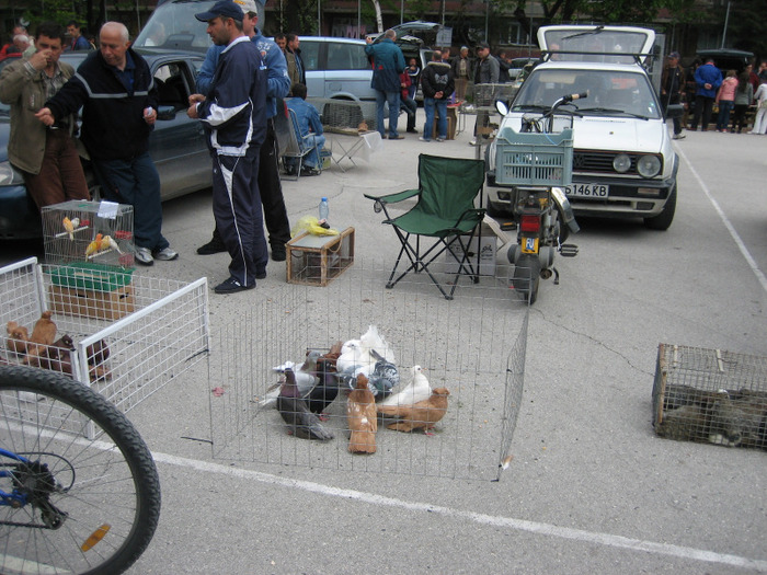 Expo Silistra 2011 008