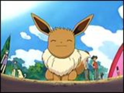 Eevee:Tadam!