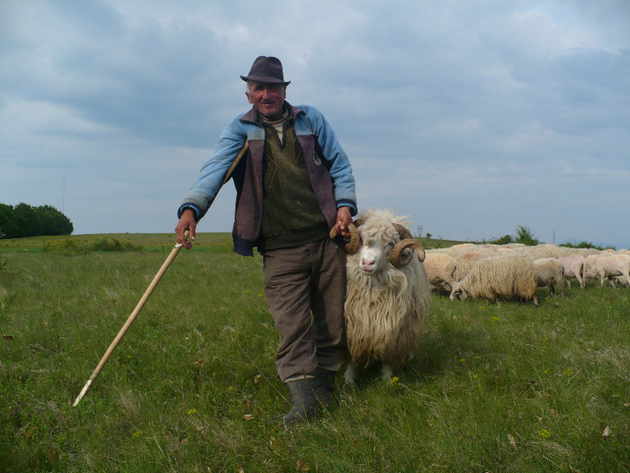 mai 2011.vf.toporului 010 - Turcane de Alba - Bale de Sugag