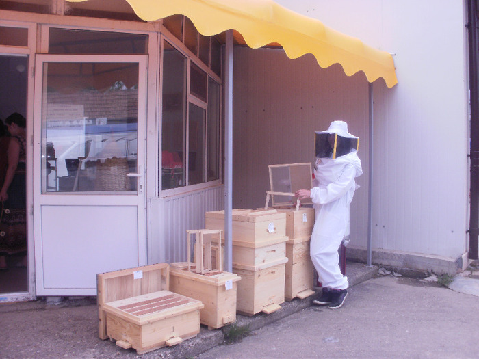 casute noi pentru albine - Magazinul meu Api logistic