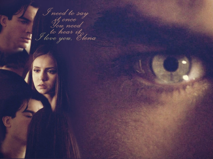 damon and elena 33