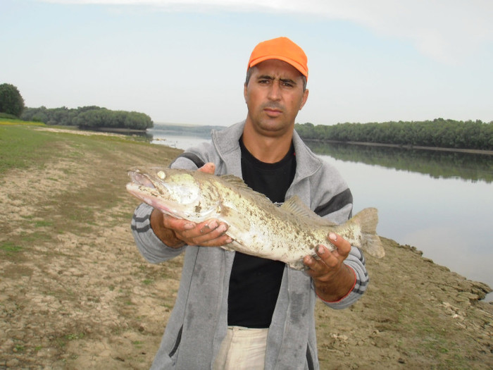 P5310017 - Pescuit la Dunare