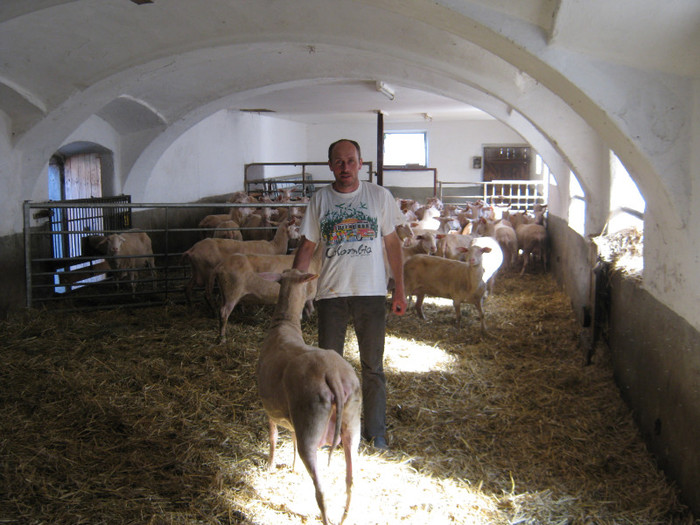 Fermierul Martin Mayer cu oile