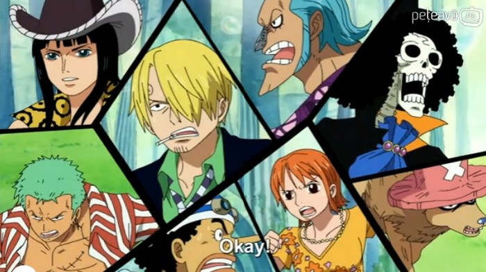 Team - One Piece -