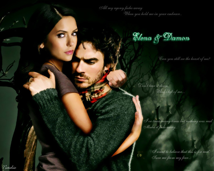 Elena-Damon-the-vampire-diaries-16023392-1280-1024