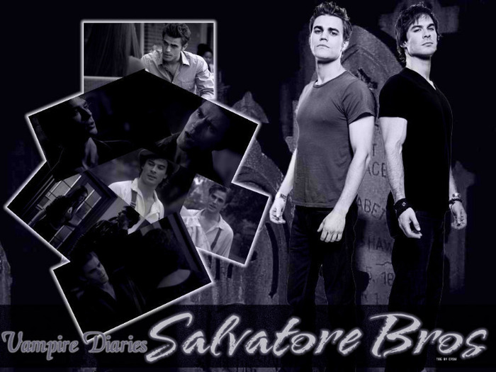 Salvatore-Bros-the-vampire-diaries-13341586-1024-768