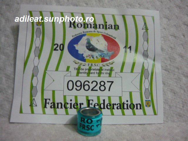 RO-2011-FRSC - 6-ROMANIA-FRSC-ring collection