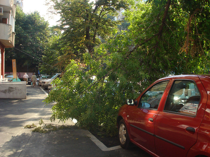 DUPA FURTUNA - FURTUNA IN BUCURESTI