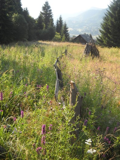 vreme de liniste in ceruri