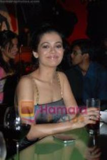 thumb_Shweta Gulati  at Star One_s Zara Nachke Dikha kickstarts in Sports Bar on July 8th 2008(4) - Shweta Gulati sau Dr Nikita