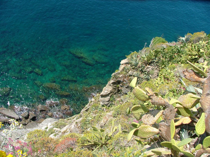 cinque terre