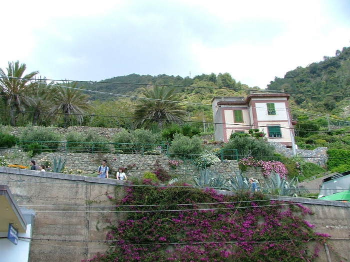 cinque terre