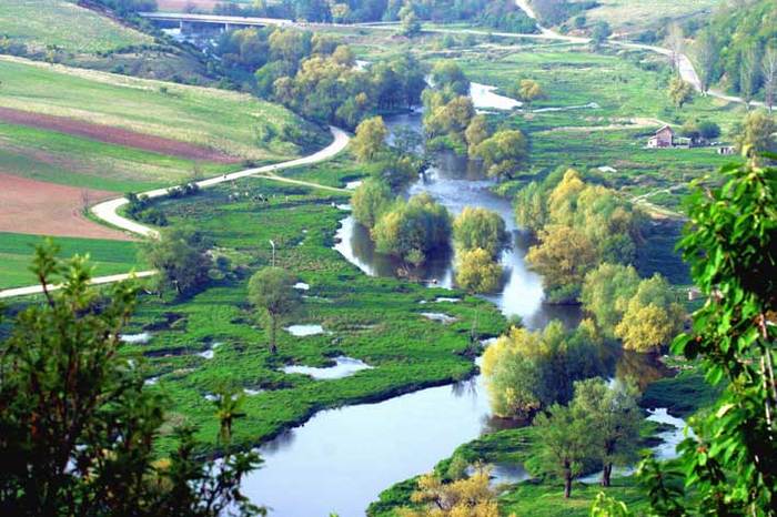 natura - zZz Porumbei Moldova Basarabeni