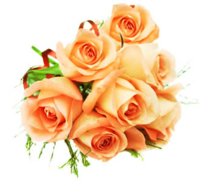 New-baby-7-orange-roses-poza-t-P-n-7 trandafiri portocalii - Orange