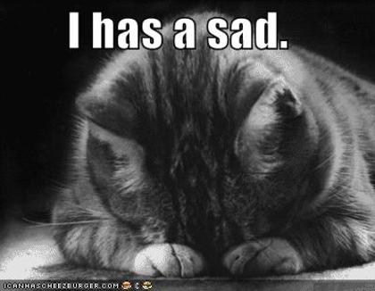 cat-has-a-sad