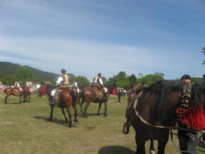 HVUJAPEGSRFBMPONVHM[2] - expo la bucsoaia