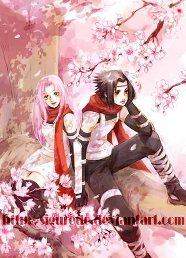  - 2 sasusaku