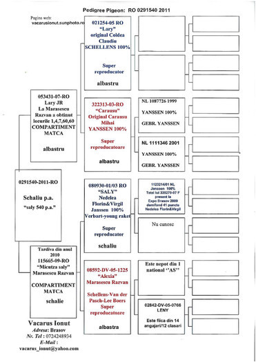 pedigree-540