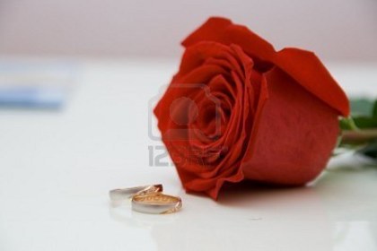3461463-rose-and-wedding-rings