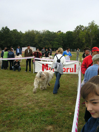 buzau 2004 46 - Buzau 26-09-2004