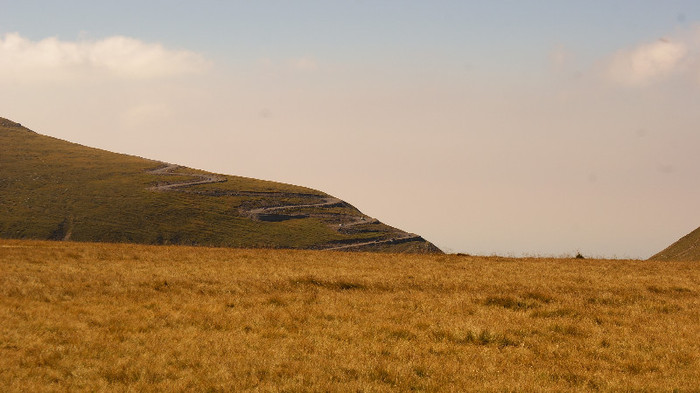 Transalpina