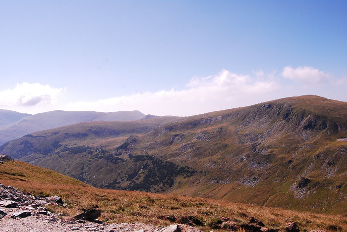 Transalpina