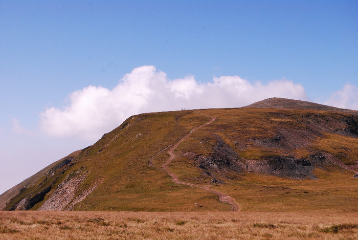 Transalpina