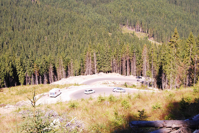 Transalpina