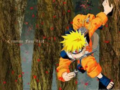 images - NARUTO