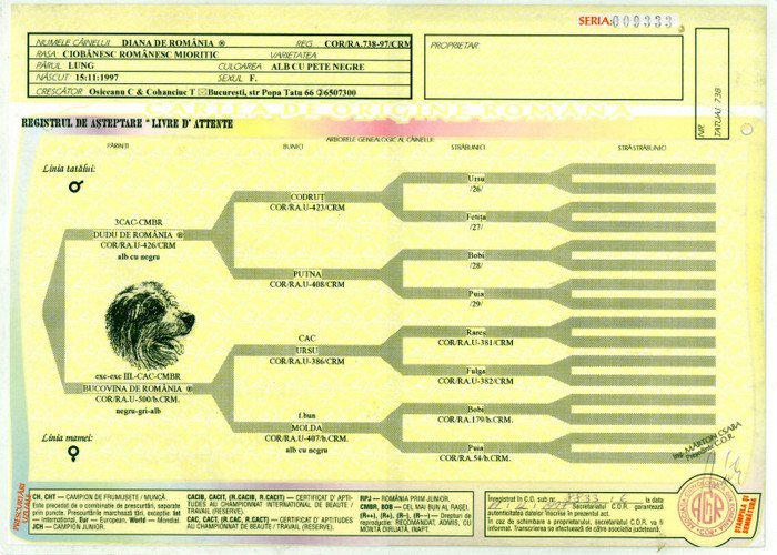 Pedigree ACHR