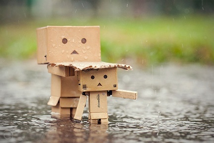 danbo012_large