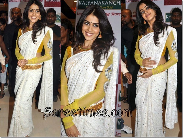 Genelia_White_Designer_Saree_thumb[2]