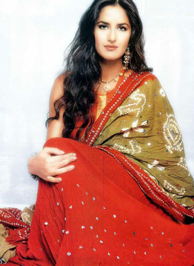 Katrina_Kaif_in_Saree_13