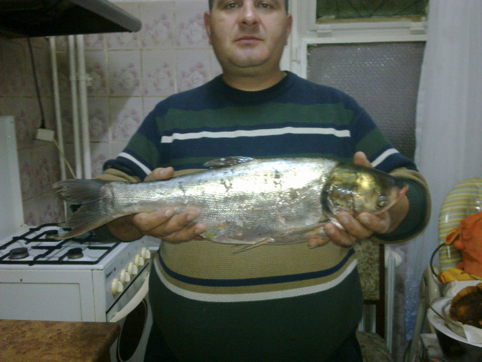 Gurbanesti 2 kg chinezesc