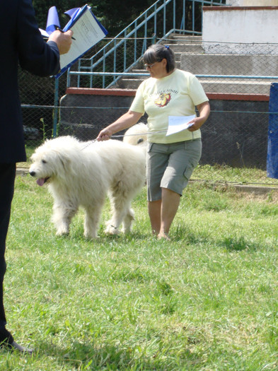 EMIR DE TARA BARSEI RPJ craiova 2008 2 - Craiova 2008