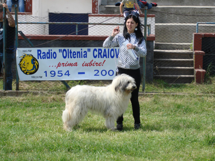 craiva 2008 7 - Craiova 2008