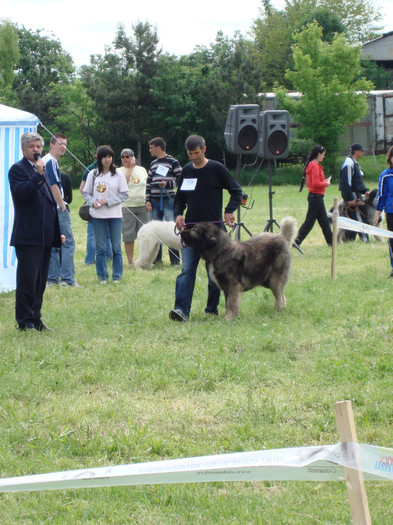 MILCOV DE MINDILICA craiova 2008 11 - Craiova 2008