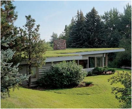 green-roof-flat