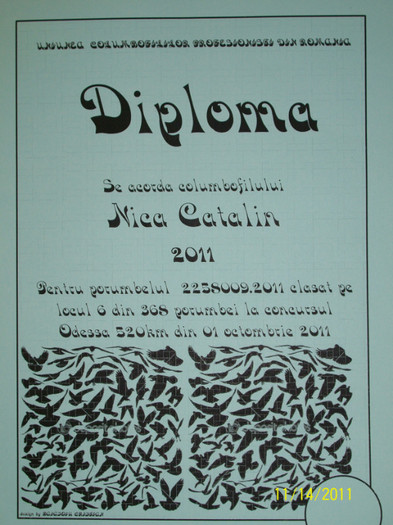 diploma 2258009