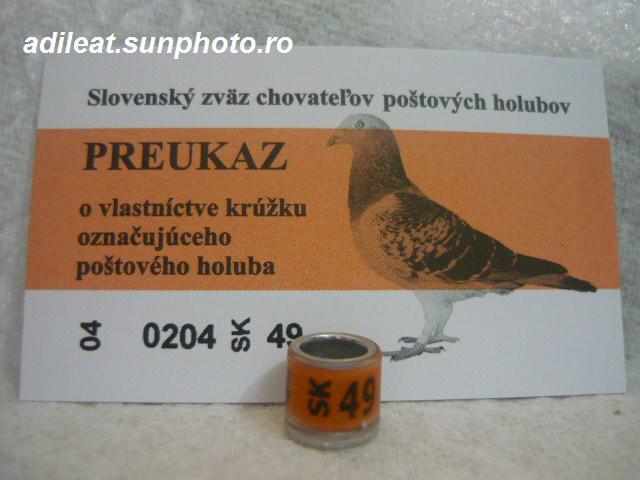 SK-2004 - SLOVACIA-SK-ring collection