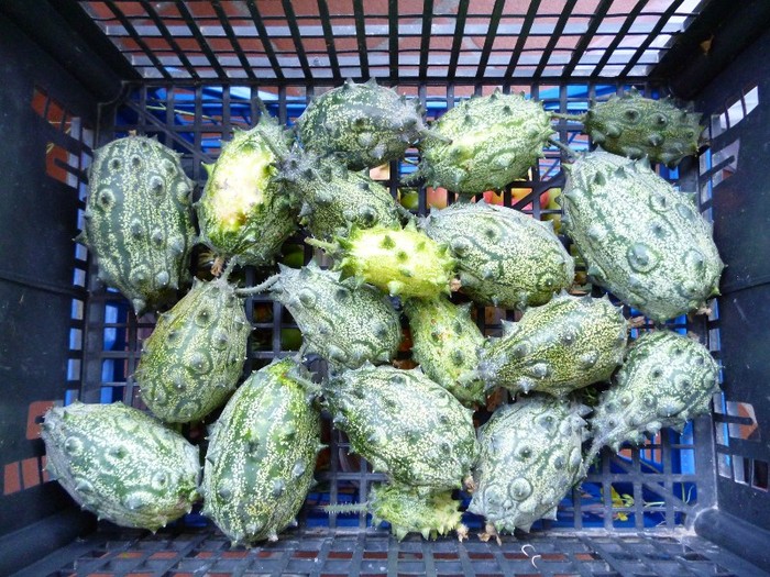 Kiwano