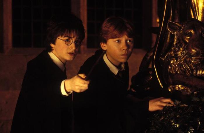 107 - Harry Potter si Camera Secretelor 2002